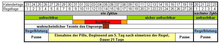 Zyklus